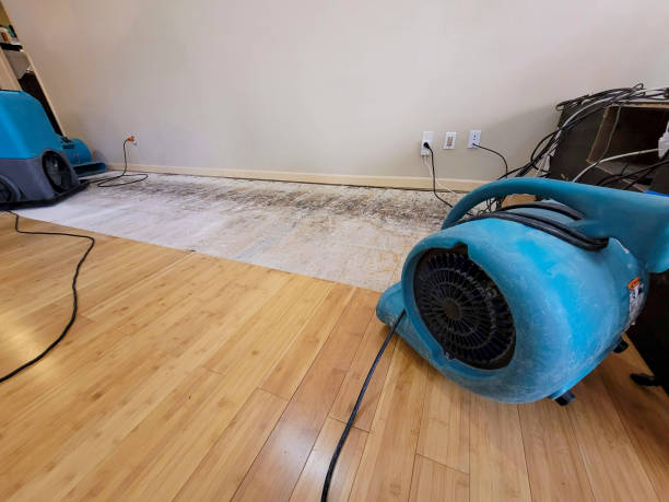 Professional Ceiling Water Damage Repair technician working in West Concord, MN